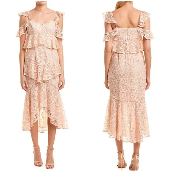 Amur Hayden Lace Midi Dress Blush Pink Size 2 NWT - Picture 10 of 11